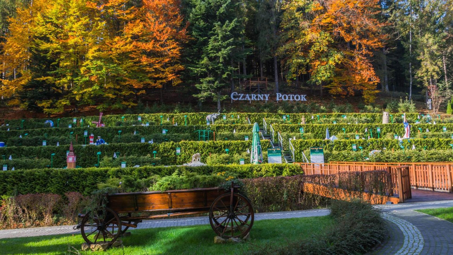 Hotel Czarny Potok Resort Spa & Conference クリニツァ・ズドルイ エクステリア 写真